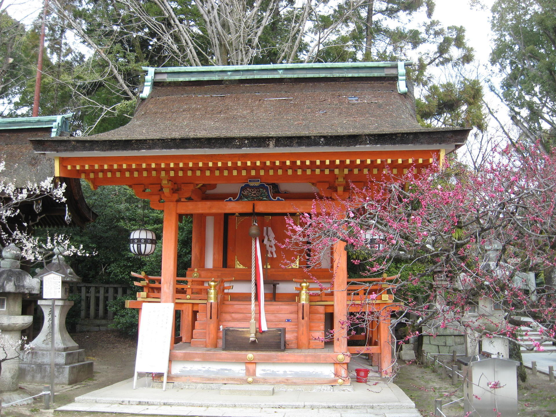 京都史蹟散策120 北野天満宮の全貌 14（地主神社の周辺）: 資料の京都