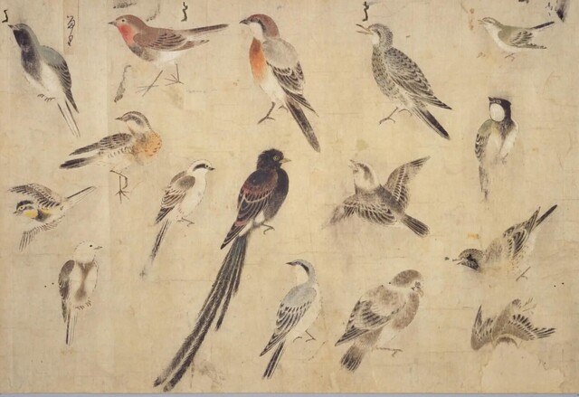 地域社会における「藩」の刻印 津・伊賀上野と藤堂藩　藤田 達生 監修　 卒論向き 地域社会における「藩」の刻印 津・伊賀上野と藤堂藩 藤田 達生